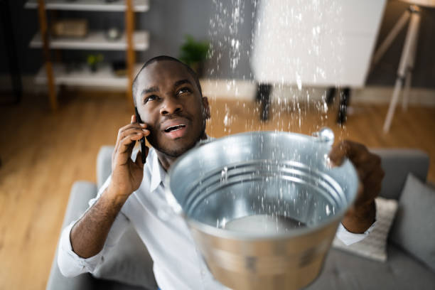 Best Ceiling water damage repair  in Denmark, SC