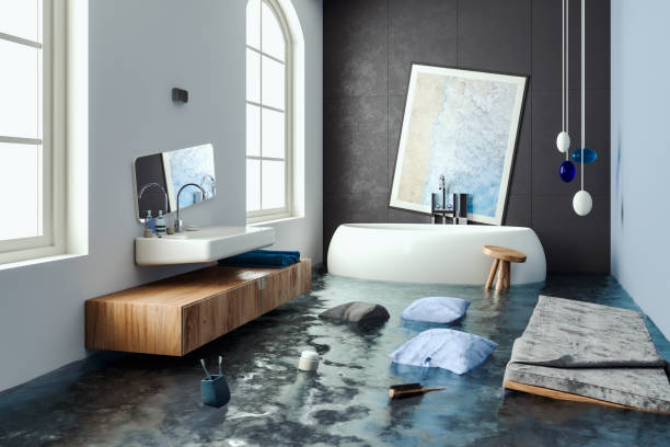 Best Water damage cleanup near me  in Denmark, SC