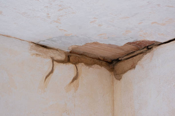 Best Flood restoration services  in Denmark, SC