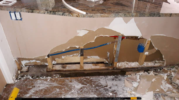 Best Carpet water damage restoration  in Denmark, SC