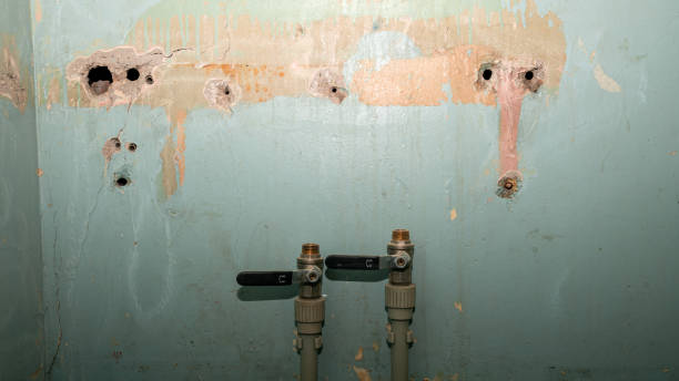 Best Flooded house restoration  in Denmark, SC