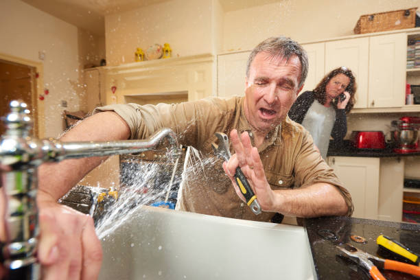 Best Water damage restoration near me  in Denmark, SC